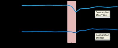 Consumption of services and goods during 2020 recession