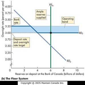 The Floor System