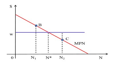 Labour demand curve graph showing MPN and optimal employment