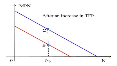Graph showing an increase in TFP shifting the labour demand curve upward