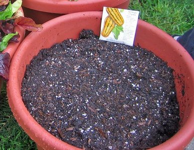 Soil in a pot, representing preconditions for growth