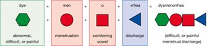 Diagram showing the breakdown of dysmenorrhea into its word parts