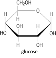 Chemical structure of glucose