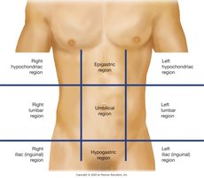 Diagram of the anatomical divisions of the abdomen (9-region grid)