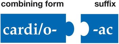 Puzzle pieces labeled with meanings for cardiac