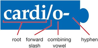 Diagram of the combining form cardi/o- with root, forward slash, combining vowel, and hyphen labeled