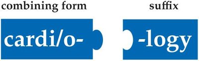 Puzzle pieces showing combining form and suffix for cardiology