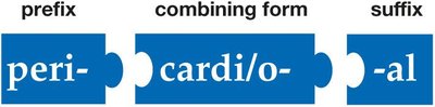 Puzzle pieces showing prefix, combining form, and suffix for pericardial