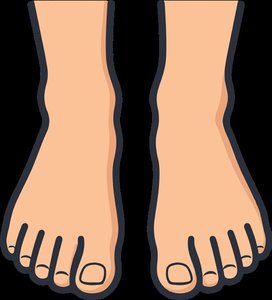 Posterior direction