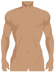 Abdominopelvic regions diagram