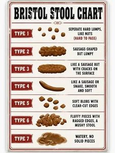 Bristol Stool Chart
