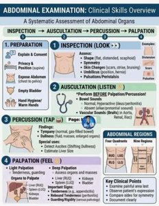 Abdominal examination clinical skills overview