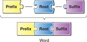 Prefix, Root, Suffix construction