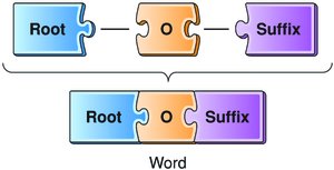 Root, combining vowel, and suffix construction