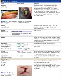 Pathology terms and definitions table 3
