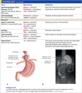 Pathology terms and definitions table 5