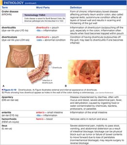 Pathology terms and definitions table 7