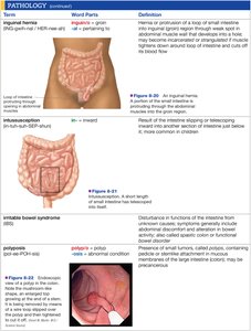 Pathology terms and definitions table 8