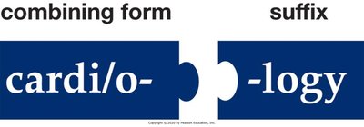 Building medical words: consonant suffix