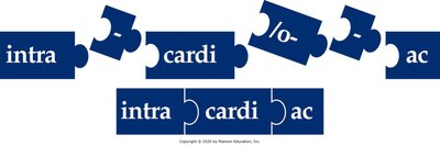 Building medical words: with prefix