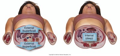 External and internal