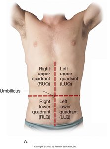 Body quadrants