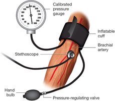 Manual blood pressure measurement