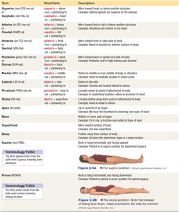 Table of directional terms, word parts, and descriptions