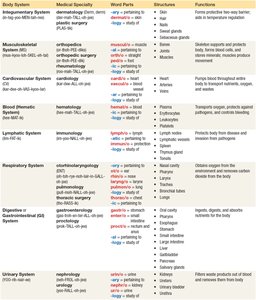 Table of organ systems, specialties, structures, and functions