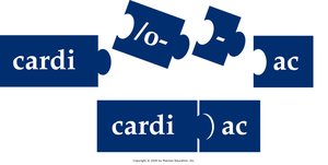 Building medical words: pertaining to the heart