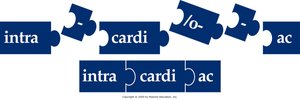 Building medical words: pertaining to within the heart