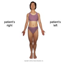 Anatomical position