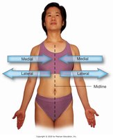 Medial and lateral directions