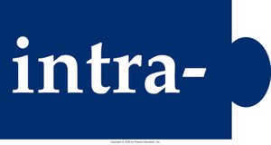 Prefix example (intra-)