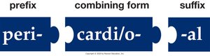 Defining pericardial