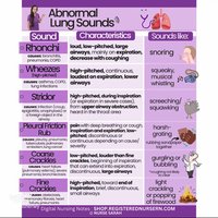 Abnormal lung sounds chart