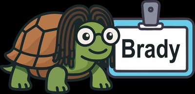 Brady the turtle for 'brady-' (slow)
