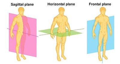 Body planes illustrated on a person