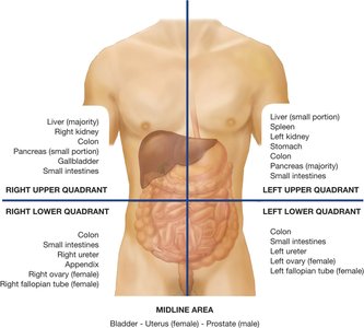 Clinical divisions of the abdomen