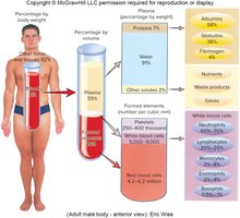 Diagram of blood composition and components