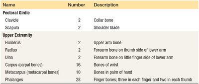 Synovial fluid lubricating a joint