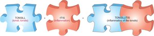 Puzzle pieces showing the formation of the term 'tonsillitis' from 'tonsill' and '-itis'