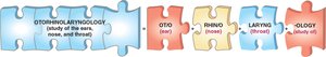 Puzzle pieces showing the breakdown of 'otorhinolaryngology' into its word parts
