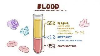 Blood composition