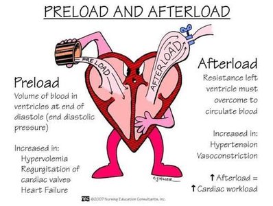 Preload and afterload cartoon