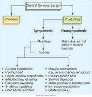 Physiological responses in anxiety disorders