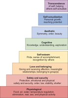 Maslow's Hierarchy of Needs