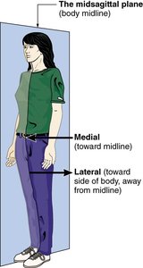 Diagram of midsagittal plane with medial and lateral directions