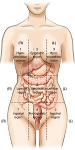 Diagram of nine abdominal regions