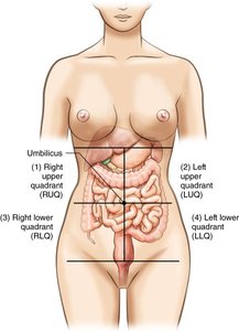 Diagram of abdominal quadrants